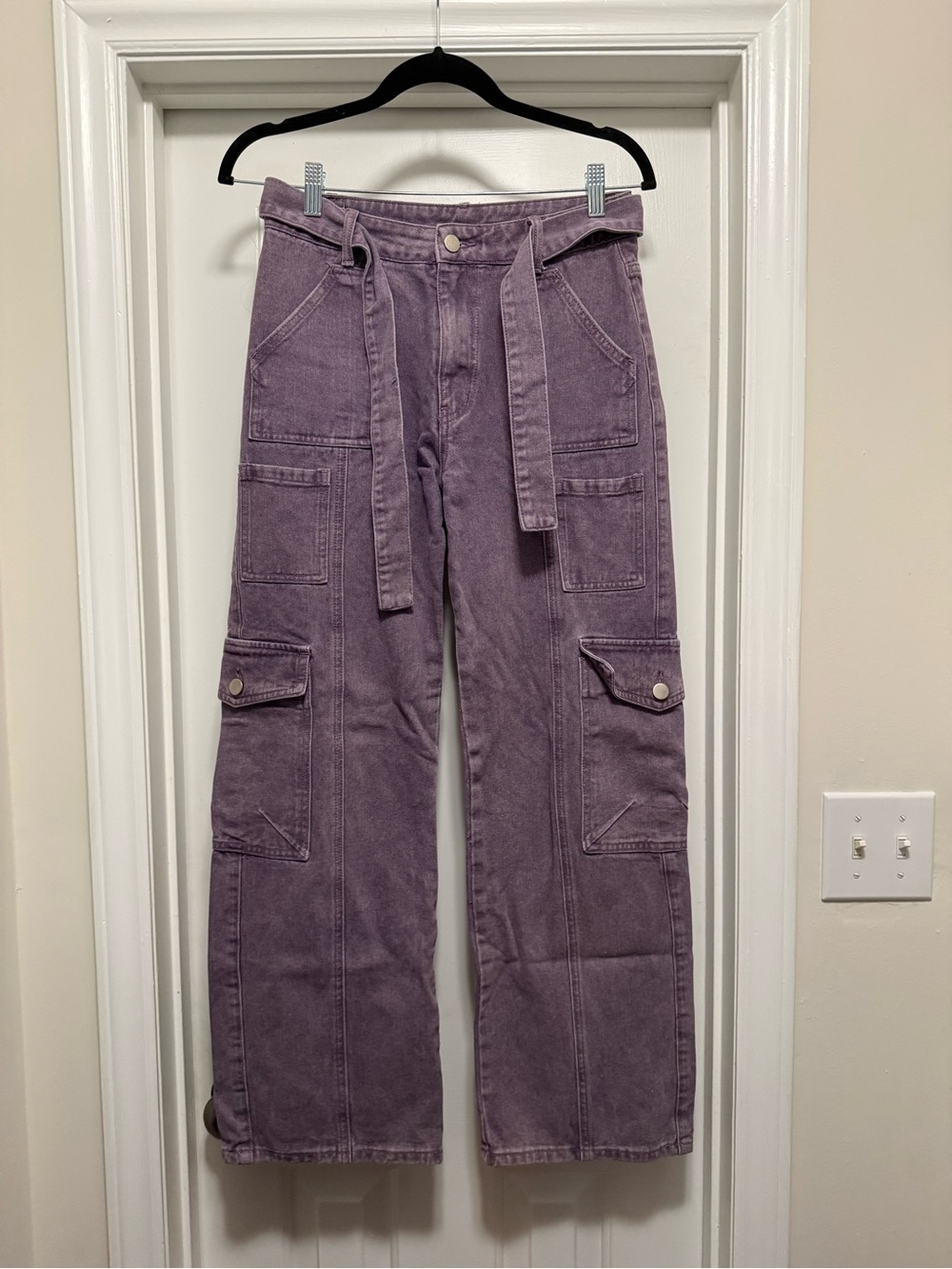 Cider Wide Leg Cargo Pants in Purple Size Small Like New